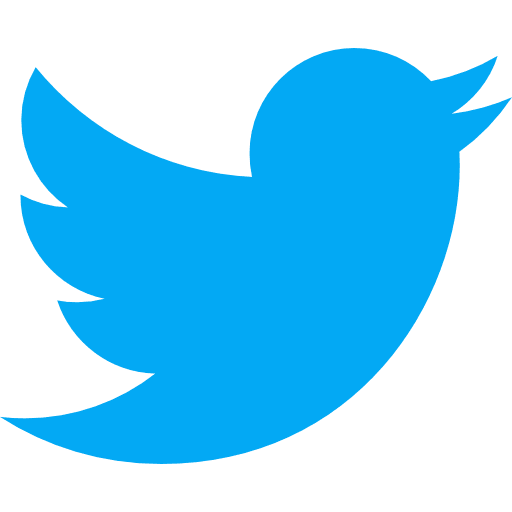 Twitter Share Icon